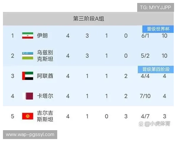 2026年世界杯比利时对阵伊朗比赛结果全面分析与赛后点评